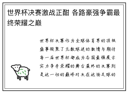 世界杯决赛激战正酣 各路豪强争霸最终荣耀之巅